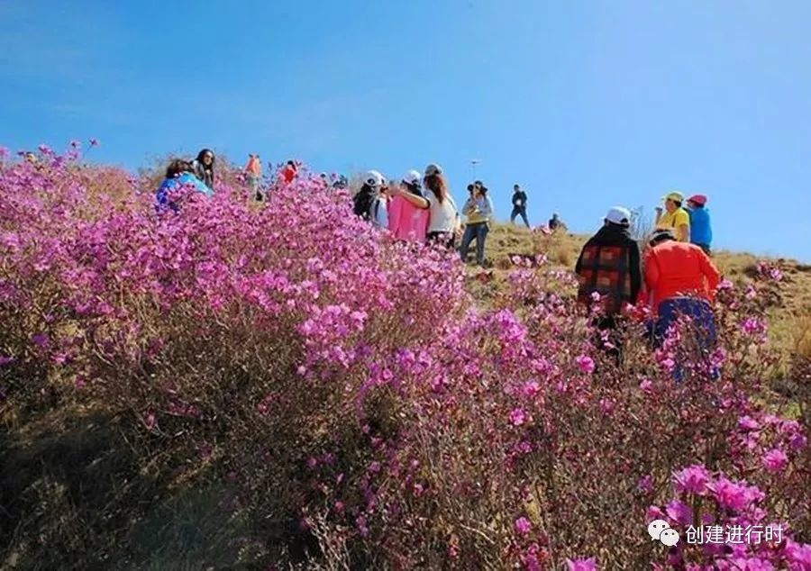 鲁山创卫杯征文推送稿件-鲁山啊,在你的洁净卫
