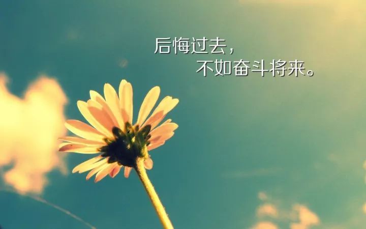 微信早安励志哲理经典一句话