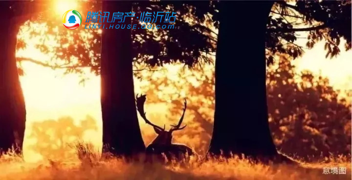 板间开放暨大型冰雪节活动即将盛启!_频道-临沂