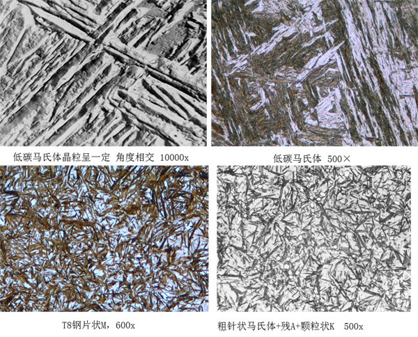 马氏体,奥氏体,珠光体,20种材料彩色金相,带你轻松识别