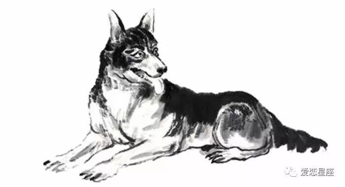 稀里糊涂过日子却有无穷后福的四大生肖