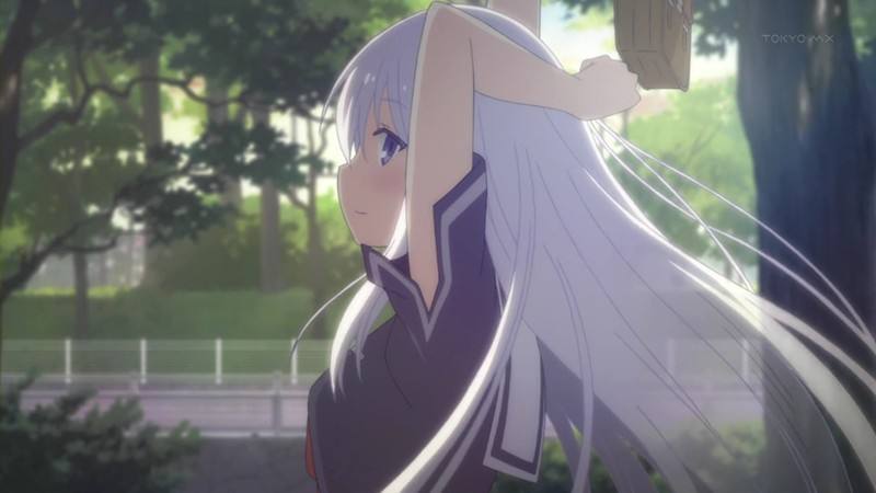 绅士学院：发福利是少女的专属哟！