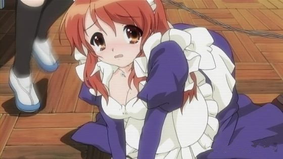 绅士学院：哪种属性的美少女是你的最爱？