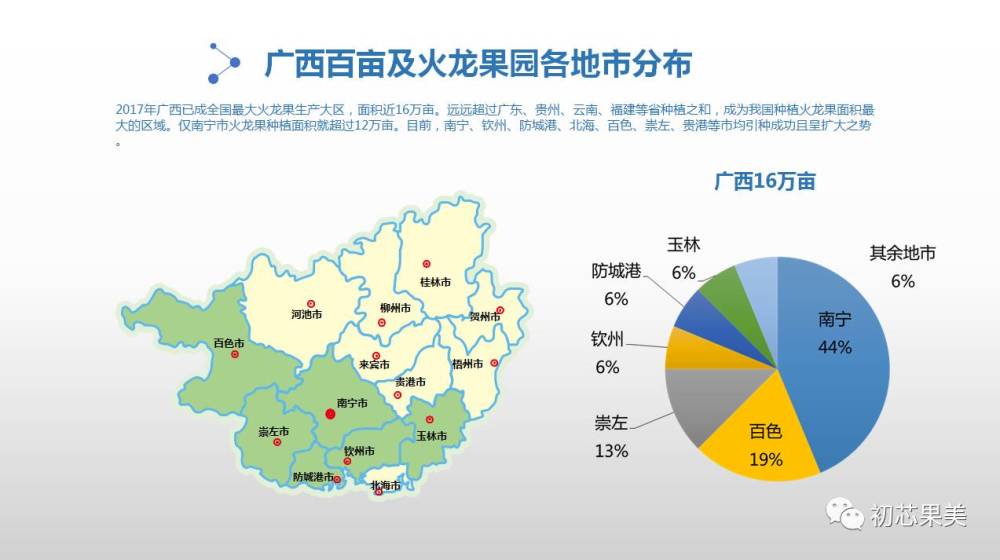 全国最大的火龙果生产地-南宁!