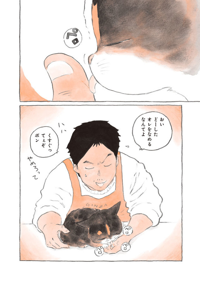 招牌猫拯救废柴！《为什么猫都叫不来》作者发售新作