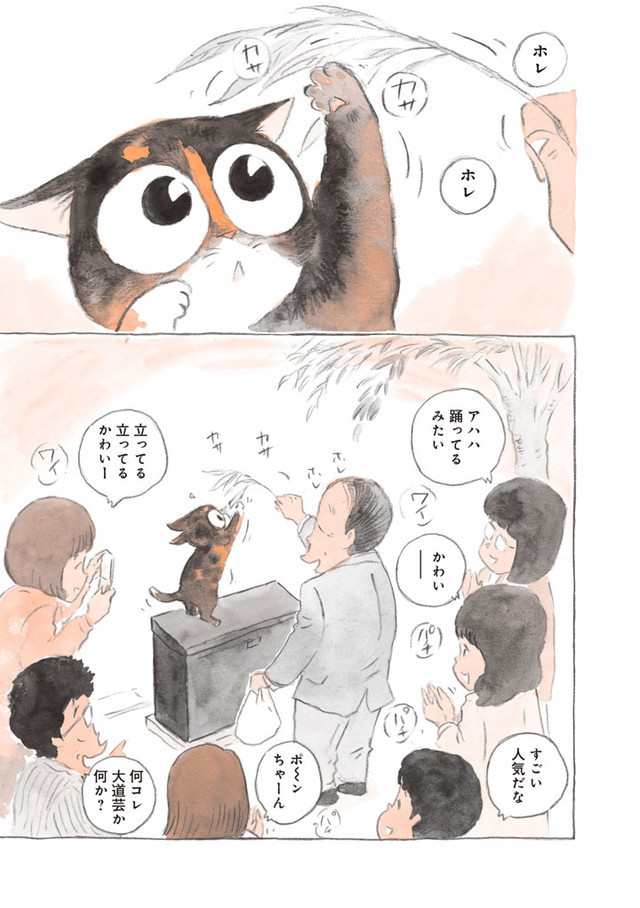 招牌猫拯救废柴！《为什么猫都叫不来》作者发售新作