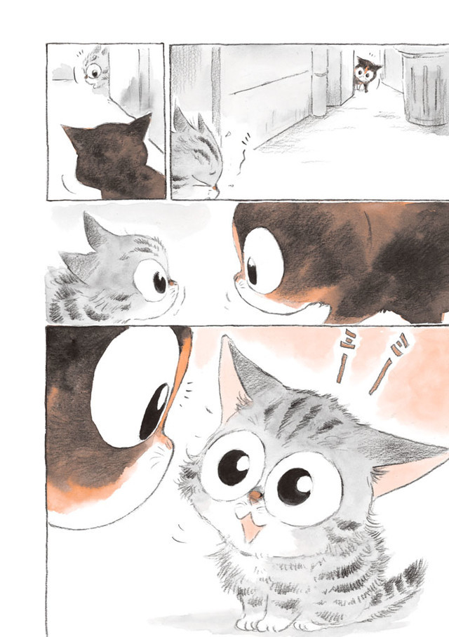 招牌猫拯救废柴！《为什么猫都叫不来》作者发售新作