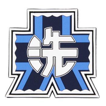 岛国男子盗用《少女与战车》大洗学园校章牟利被捕