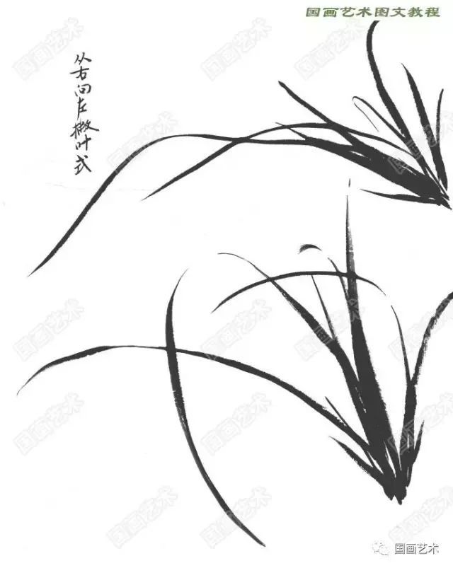 表现风中兰叶,其运笔穿插方法与画其他兰叶是相同的.