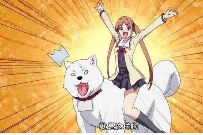 X档案：今年有哪些漫画完结了
