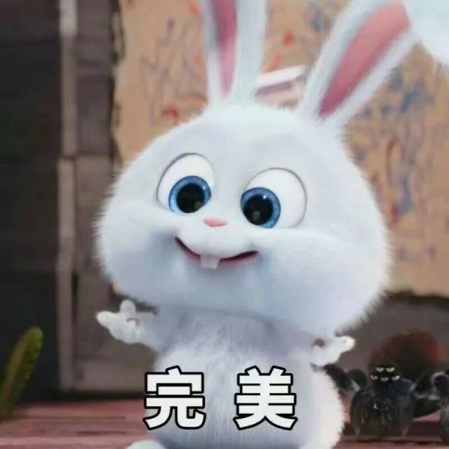 这只萌萌的雪球就是出自《爱宠大机密》 对他的第一印象是不是:哇!