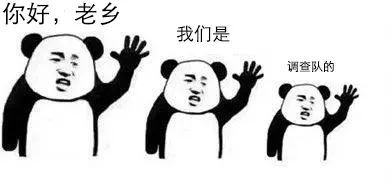 "点进即可拾取一波调查队三连表情包