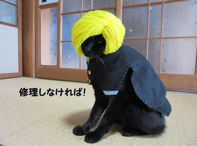 这只娜美有凹凸！日本黑猫COS《航海王》