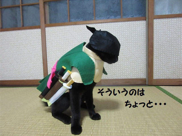 这只娜美有凹凸！日本黑猫COS《航海王》