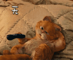 搞笑加菲猫的表情包,懒得理你