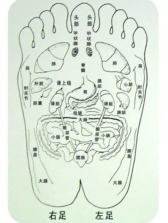 你了解脚底板的穴位对应身体的哪些部位吗?