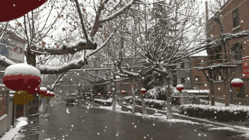 小雪到!一首醉人的歌,一份暖心的祝福,致我最牵挂的人!
