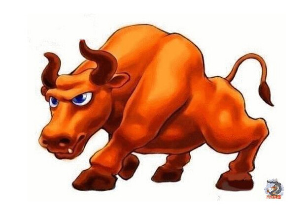 2017年终盘点:躲过了股灾,毁灭在牛市,2018股