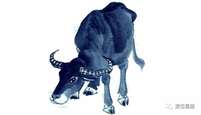 稀里糊涂过日子却有无穷后福的四大生肖