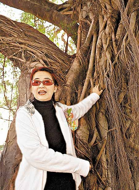 孫儷姨奶、資深女星胡慧中的丈夫紐約被捕