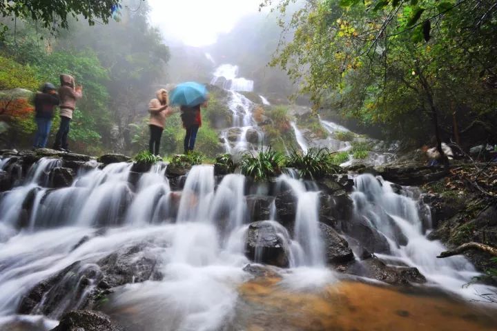 云髻红枫——写在2017韶关新丰云髻山枫叶节