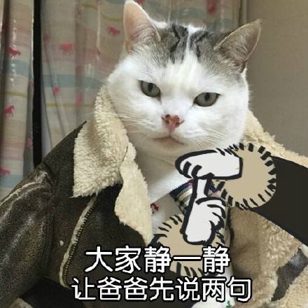 企鹅娘吐槽：你最喜欢的二次元动物是哪一种呢？