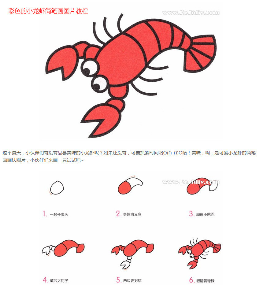 海洋生物简笔画-大龙虾