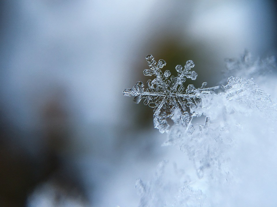 我躺在露天阳台的竹椅上,捧着一杯花茶,任雪花落在头上,落在身体上