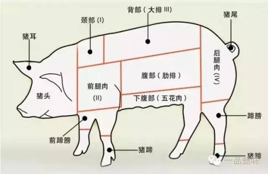 猪肉的切割区域 猪肉最不好部位是血脖,肚皮底,腋窝.