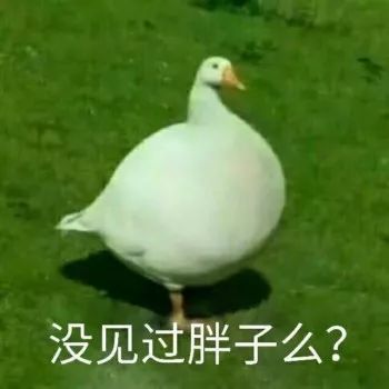 大鹅表情包为什么火起来了?