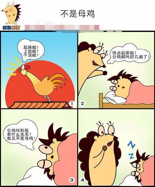 搞笑漫画:我不想做母鸡