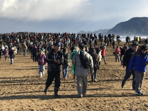 谁说过气？《精灵宝可梦GO》活动现场人山人海