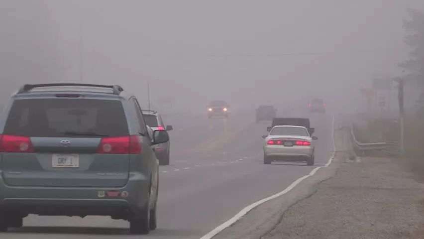 驾驶员必看:大雾天气行车安全及注意事项