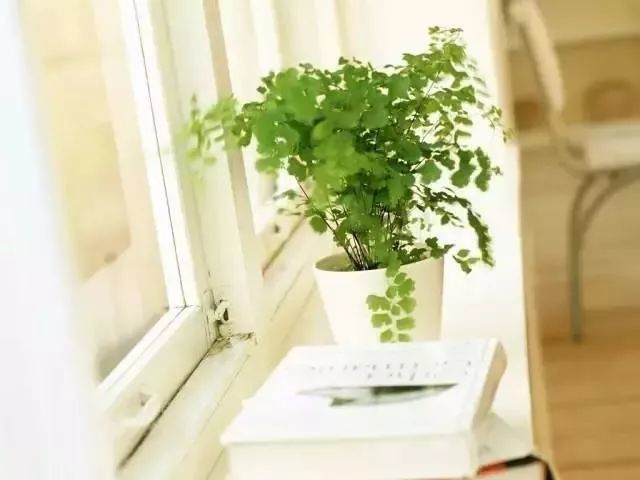 解读境外所得税收抵免新政策第二款