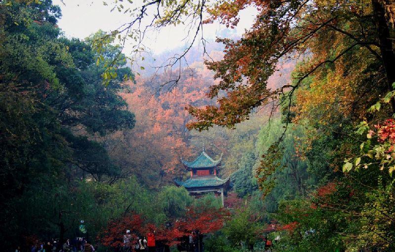 岳麓山景区将建北大门