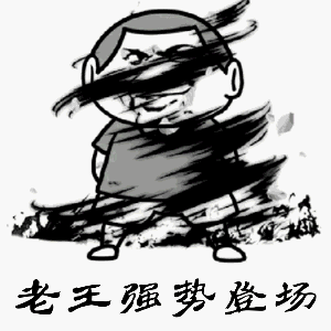隔壁老王搞笑斗图表情包