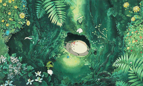 四季如春~ 早上叫醒你的是鸟儿 夜晚陪你入眠的蛙鸣 如此美妙的地方