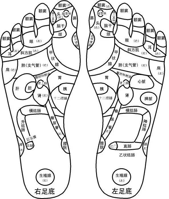 人体全息图,哪里不适按哪里