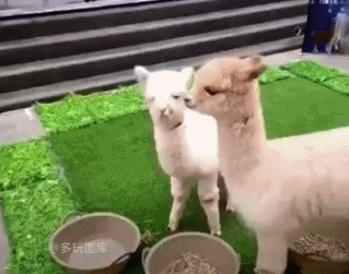ϱǧᣬǺȶ˶Ѱ