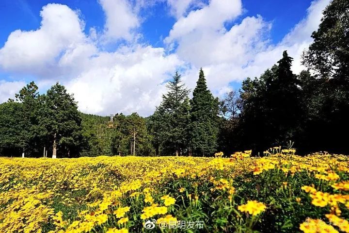 摄影:彩龙社区@秋月 郊野公园