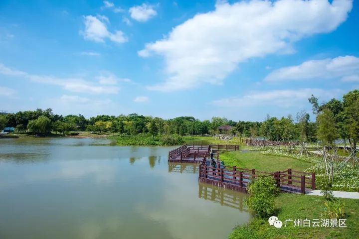 广州白云湖公园游玩指南