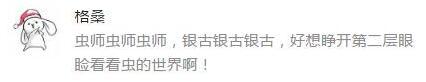 万人评选：“最喜欢的另类动画”结果公布！