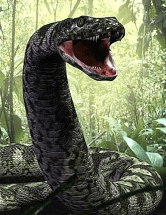 科学家:揭秘世界上最大的蛇 与远古恐龙比肩