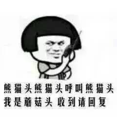 被告不服,问法官:"法官大人, 我不可以叫男士为狗吗?" "是的.