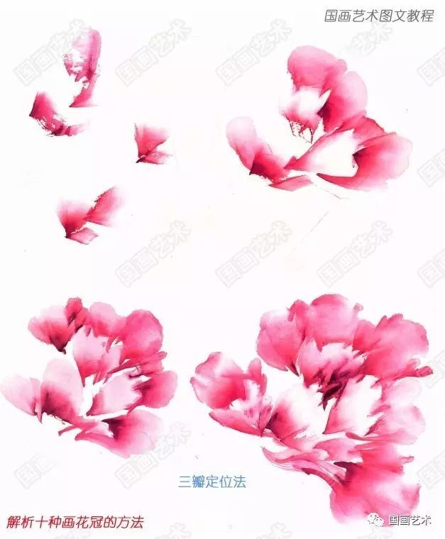 王宣明:新编画牡丹十招