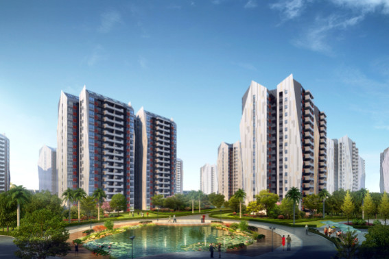 棠棣之华抢位热潮 周末特邀著名幼师开讲啦_