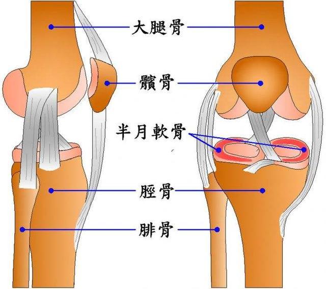 所以膝盖损伤的根源在于膝关节错位,治疗的话,必须的错位的地方复位