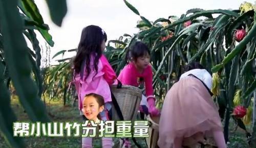 因带孩子而圈粉无数?事实上吴尊对待他两个孩