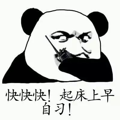 喏,你要的表情包