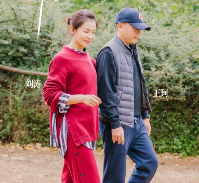 无尾熊夫妇拿下年度CP?细数综艺CP走红的N